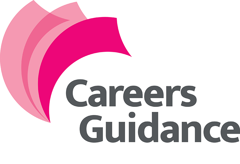 Skills Jersey – Logo – Careers Guidance – CMYK